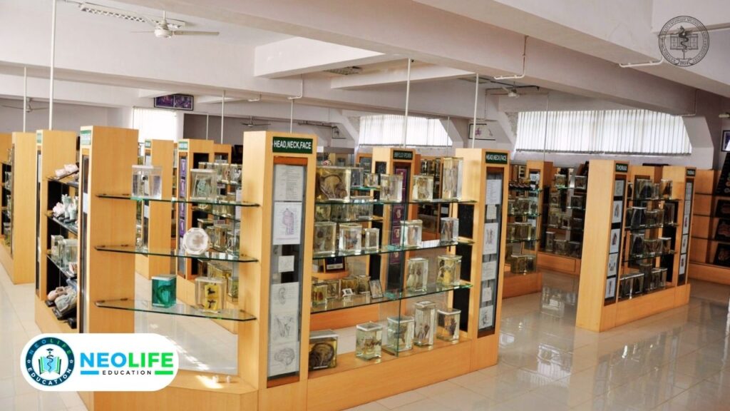 Anatomy museum in Kazan state medical college